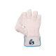 SG Supakeep Wicket Keeping Gloves (Multi-Color) W.K. Gloves SG Supakeep Wicket Keeping Gloves (Multi-Color) W.K. Gloves