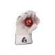SG RSD Prolite Wicket Keeping Gloves (Multi-Color) W.K. Gloves SG RSD Prolite Wicket Keeping Gloves (Multi-Color) W.K. Gloves