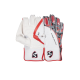 SG Test Wicket Keeping Gloves (Multi-Color) W.K. Gloves SG Test Wicket Keeping Gloves (Multi-Color) W.K. Gloves