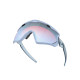 Oakley Wind Jacket 2.0 Matte trans stonewash Prizm snow sapphire Sunglass Oakley Wind Jacket 2.0 Matte trans stonewash Prizm snow sapphire Sunglass
