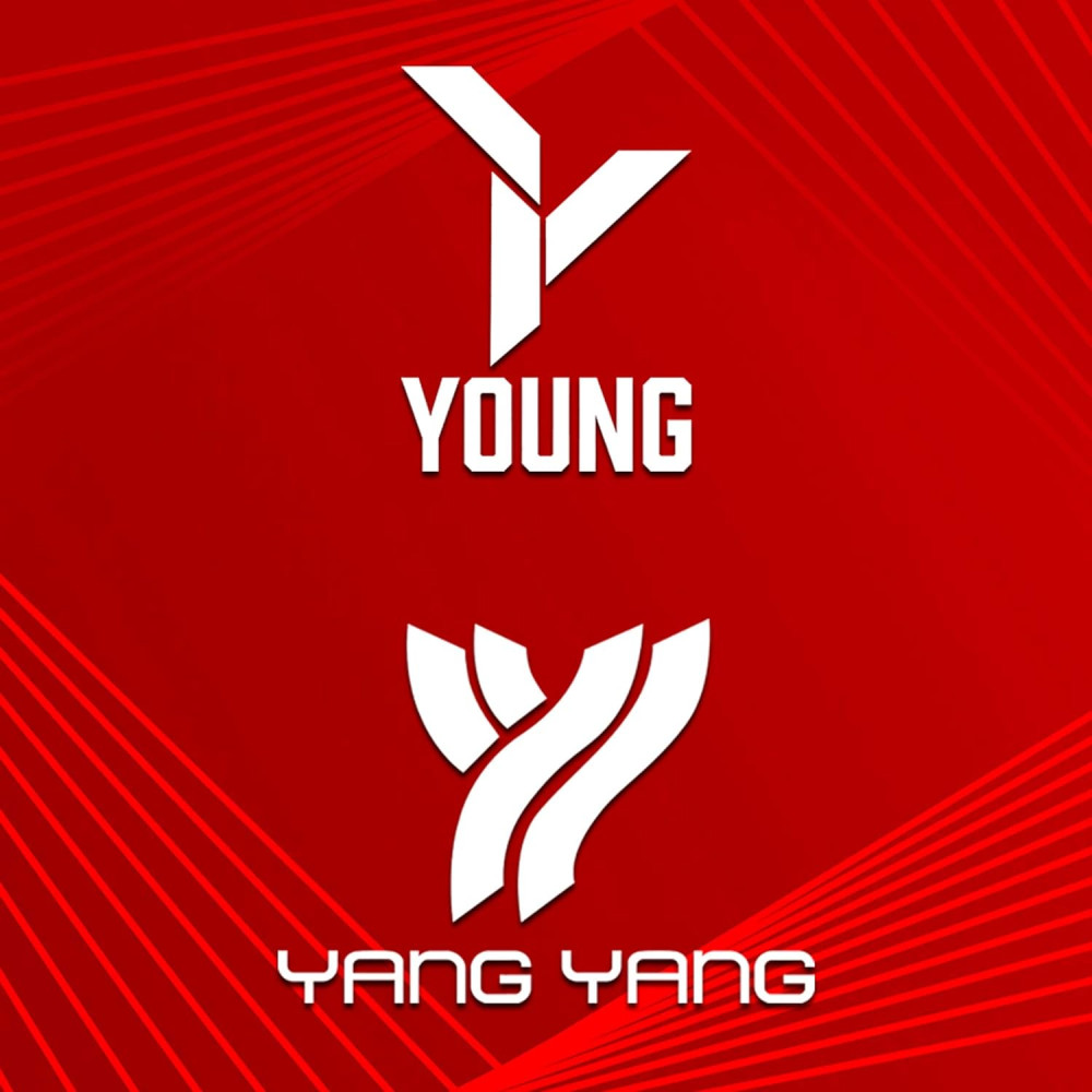 YOUNG (Malaysia) Passion 17 Graphite Lightweight 75g Professional Badminton Racket, (Black/Red) High Modulus 24-Ton Graphite, Unstrung with Full Cover YOUNG (Malaysia) Passion 17 Graphite Lightweight 75g Professional Badminton Racket, (Black/Red) High Modulus 24-Ton Graphite, Unstrung with Full Cover
