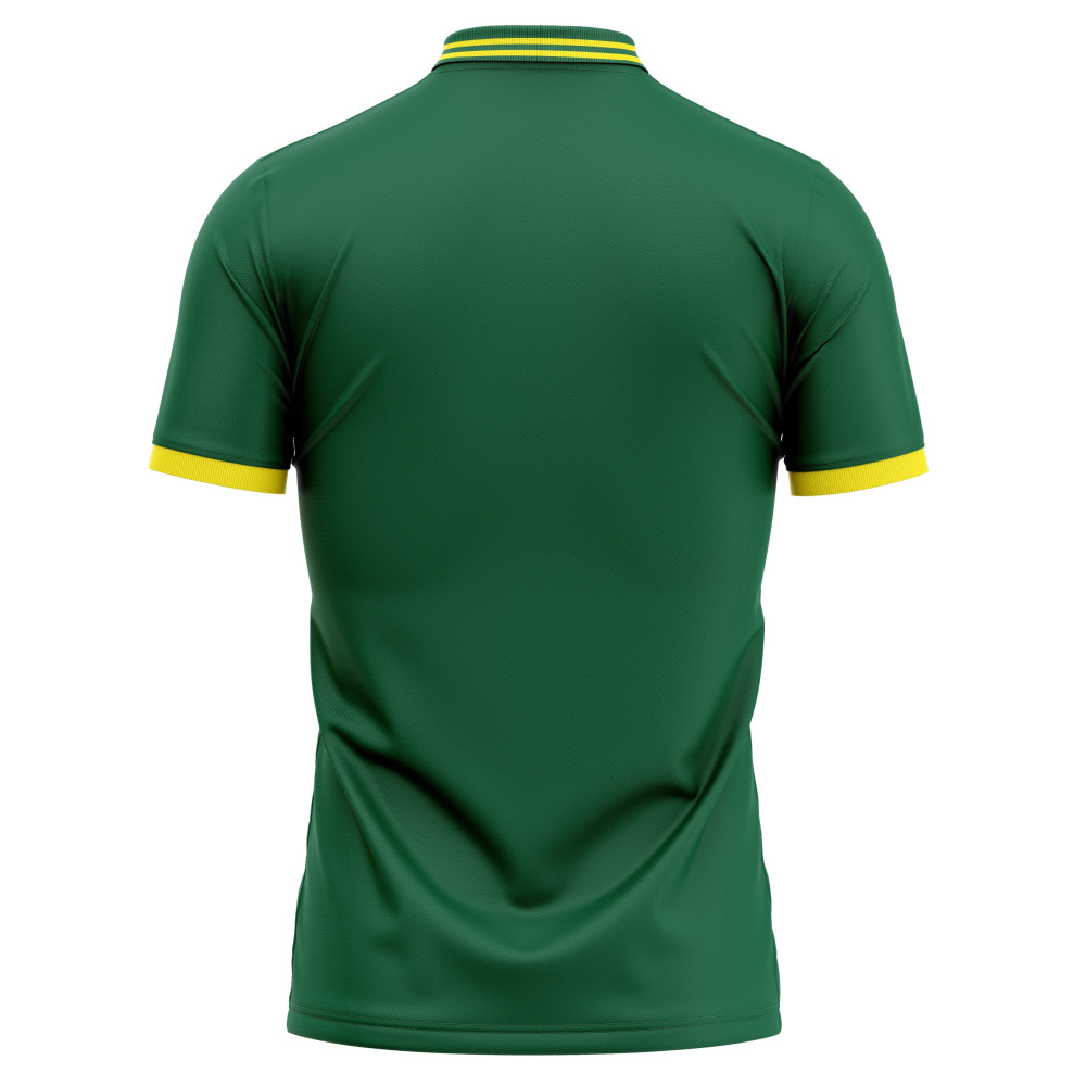 South Africa ODI World Cup 2023 Half Sleeves Cricket Fan Jersey - 100% Dryfit Polyester - With Name Personalisation