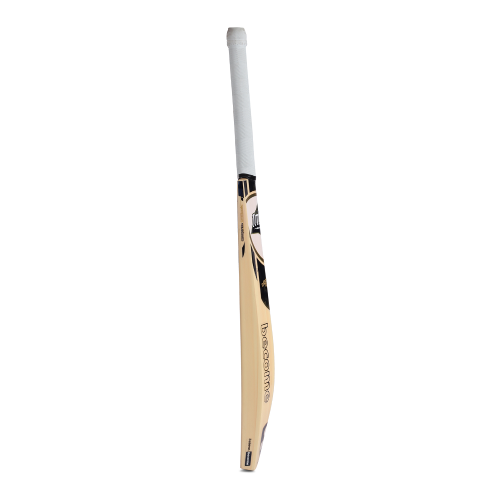 SG X GT 6.0 English Willow Cricket Bat