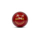 SG SUPER RED Cricket Ball - Using Premium Quality LEATHER, Pack of 1 SG SUPER RED Cricket Ball - Using Premium Quality LEATHER, Pack of 1