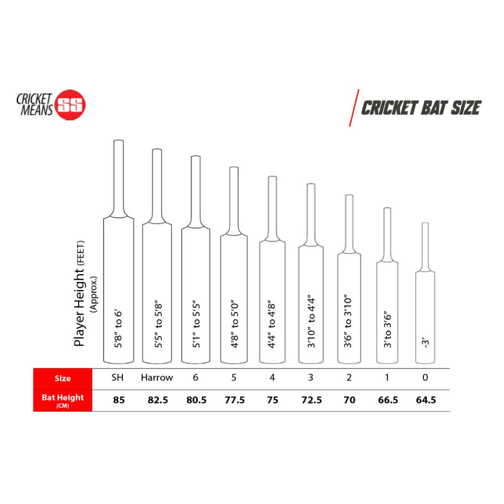 SS Master Kashmir Willow Cricket Bat SS Master Kashmir Willow Cricket Bat