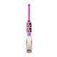 SS Slogger Kashmir Willow Cricket Bat SS Slogger Kashmir Willow Cricket Bat