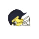 SS Pro Premium Cricket Helmet